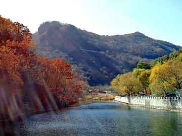 新澳天天开奖资料大全旅游团，虫草慧宁堂